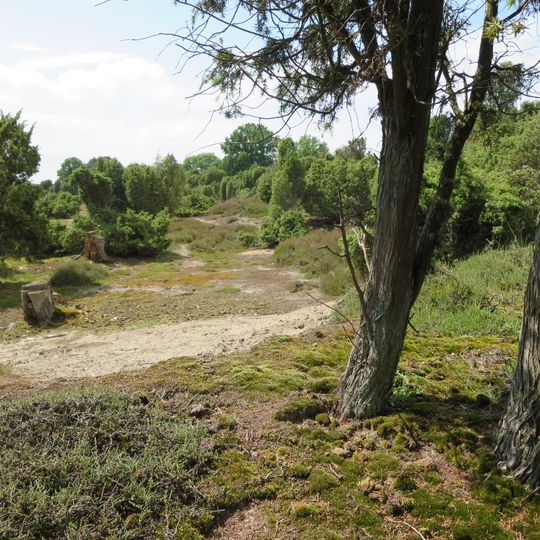 Natura 2000–Wachendorfer Wacholderhain
