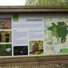 Jongenbos