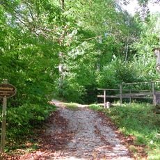 Wurzelweg Gutenstein, Lower Austria