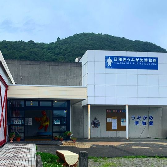 Hiwasa Chelonian Museum Caretta