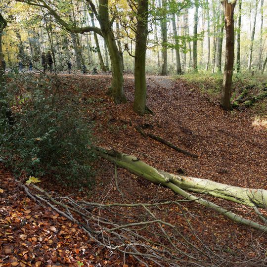 Gysenberger Wald/Constantin X