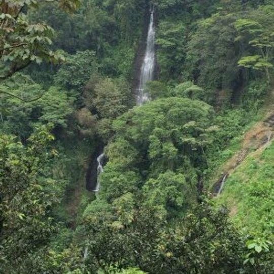 Parc national Cañón del Río Blanco