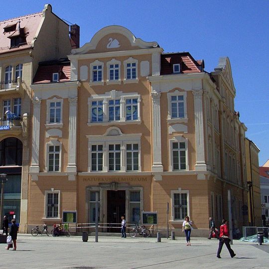 Museum der Naturforschenden Gesellschaft zu Görlitz Am Museum 1