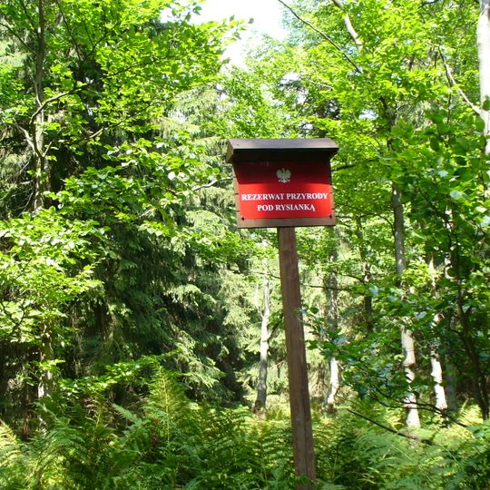 Rezerwat przyrody Pod Rysianką
