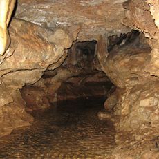 Current River Cavern