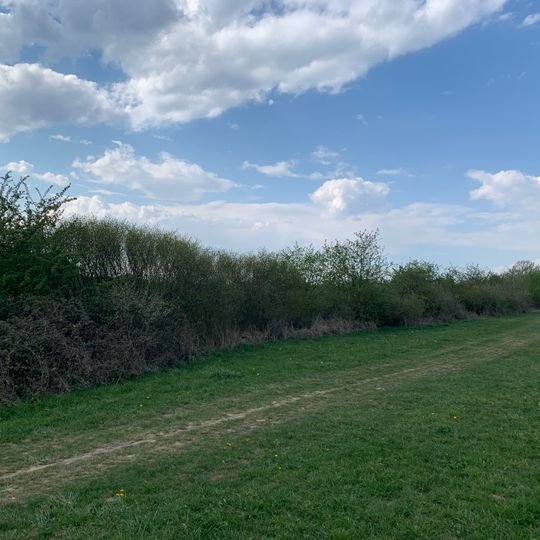 Sukzessionsfläche im Scharnhauser Park