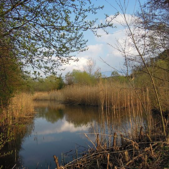 Rákosina ve Stříteži nad Bečvou