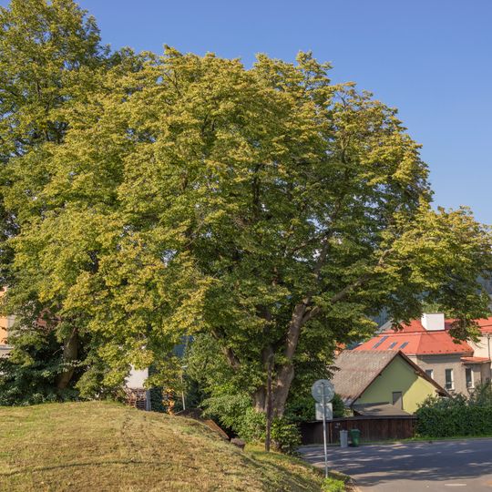 Lípa u kapličky pod hřbitovem
