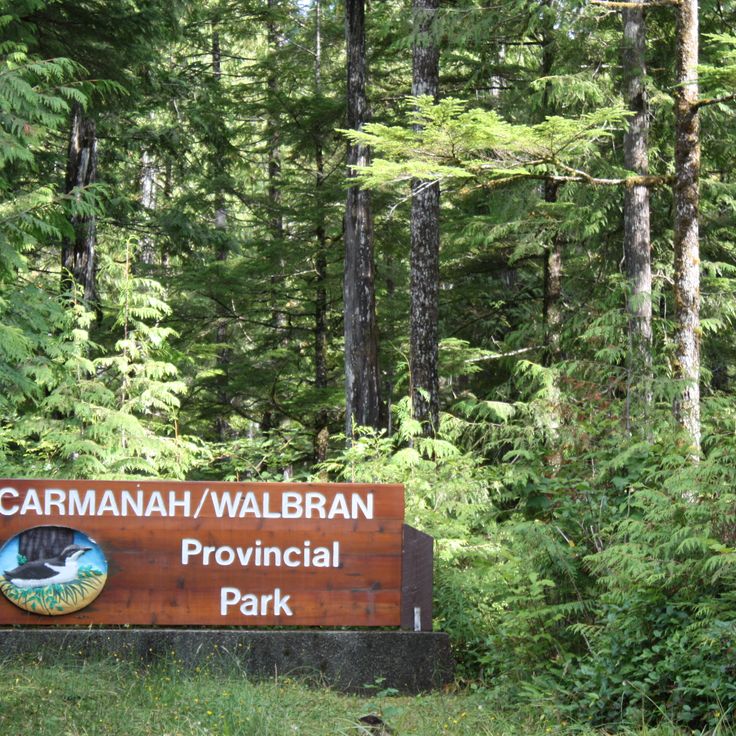 Parco Provinciale Carmanah Walbran