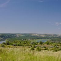 Verchnemamonskij rajon