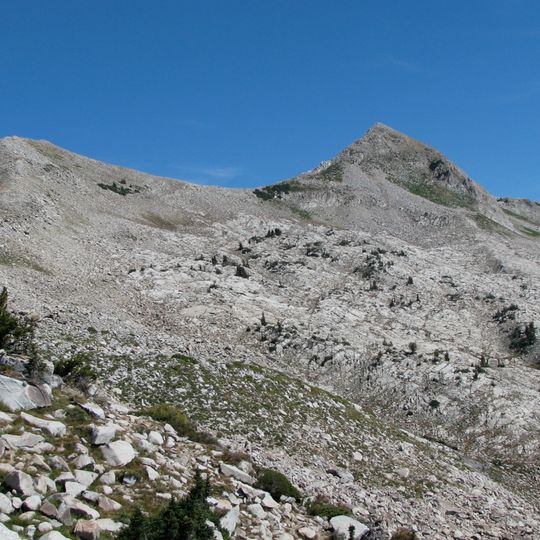 Pfeifferhorn