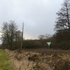 Naturschutzgebiet Bernshäuser Sumpf