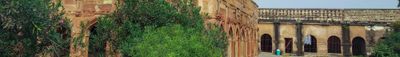 Panoramic View 0