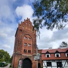 Dworek -- Dyrekcja Muzeum, Biblioteka
