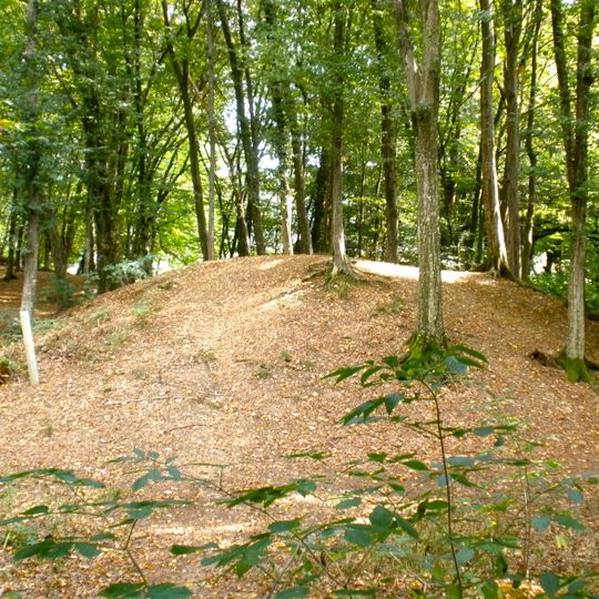 Barrow cemetery Hutweide