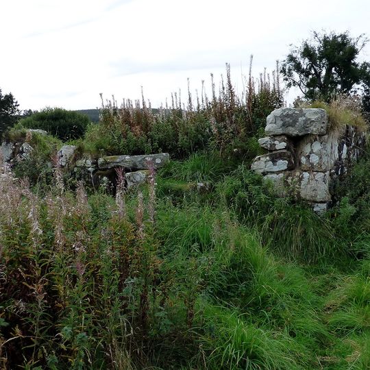 Shilla Hill bastle 350m west of Comb