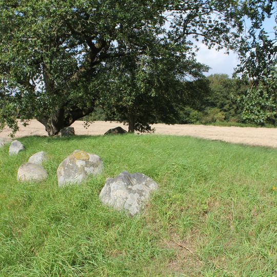 Langdysse von Landbogård