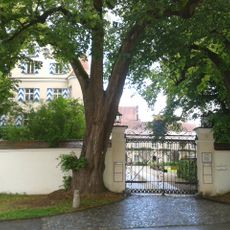 Linden am Schlosstor von Wilflingen