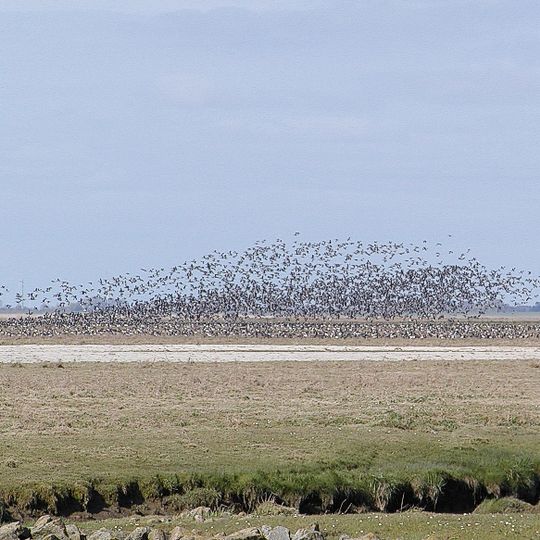 Wildvogelreservat Nordkehdingen