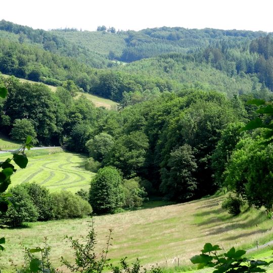LSG-Ortsnahe Freiflaeche noerdlich und suedlich Muelsborn