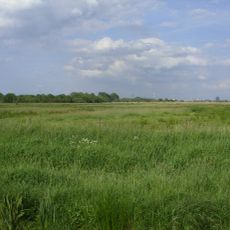 Ochtumniederung bei Brokhuchting