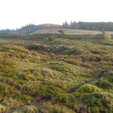 Ballumbjerg Hede