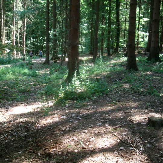 Kleinkastell Heidekringen