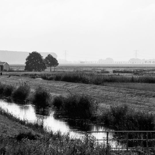 Nieuwe Dordtse Biesbosch