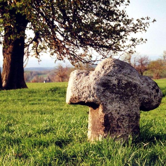 Steinkreuz bei Oelsener Höhe