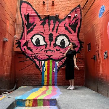 Qué ver en Charlotte: museos, Salón de la Fama de NASCAR, parques naturales