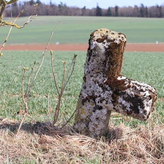 Sühnekreuz Igersheim VII