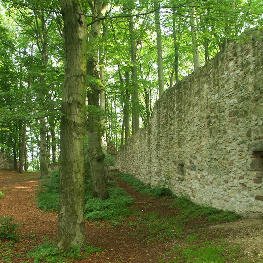 Burg Landeck