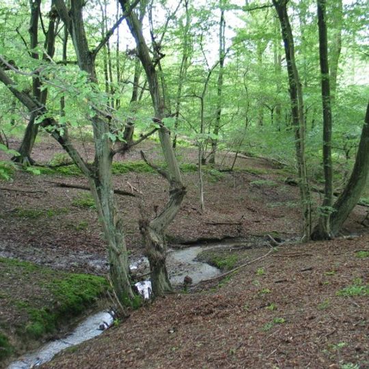 Northaw Great Wood