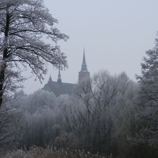 Church of the Assumption in Stoczek Łukowski