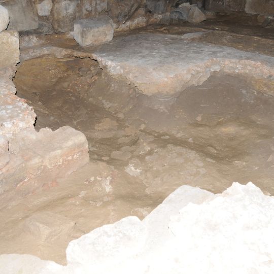 Ruínas arqueológicas de São Martinho de Dume