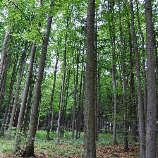 Velký a Malý Kamýk