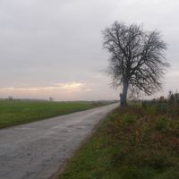 distretto di Opoczno