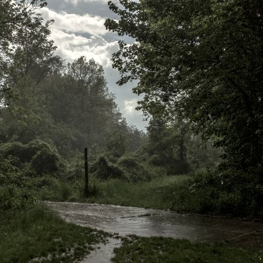 Kühkopf-Knoblochsaue