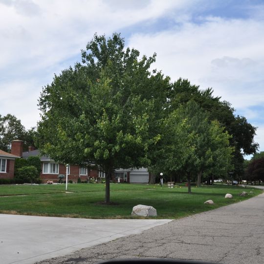 Lathrup Village Historic District