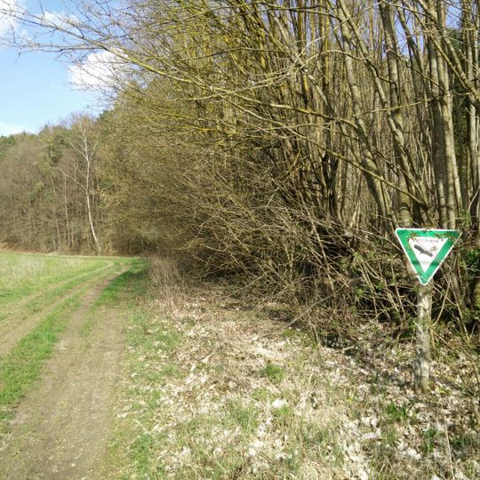 Feuchtgebiet Vorderer Beilberg