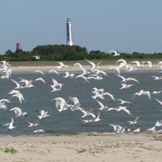 Cape Romain National Wildlife Refuge
