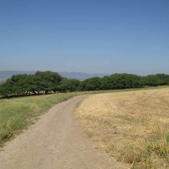 Rezerwat przyrody Tel Szimron