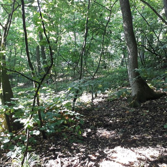 Cetățuie - Țahnăuți