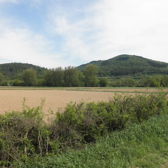 Naturschutzgebiet Homberg bei Buchenau