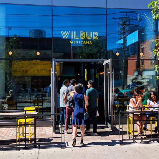 Wilbur Mexicana