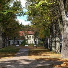Avenue of large-leaved lime trees  in front of the church