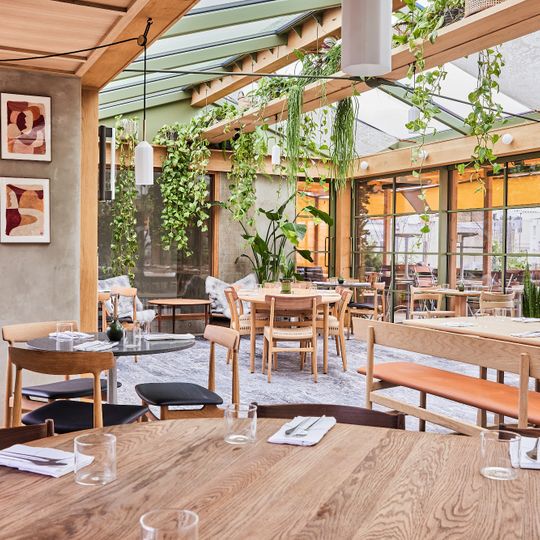 Roof Garden at Pantechnicon