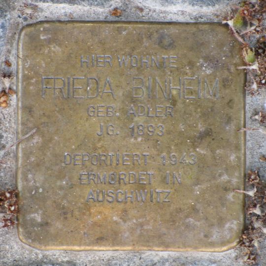 Stolperstein dedicated to Frieda Binheim