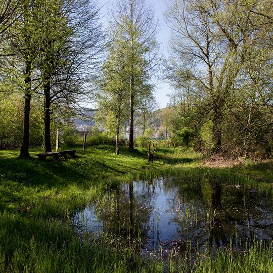 Biotop Bustelbach