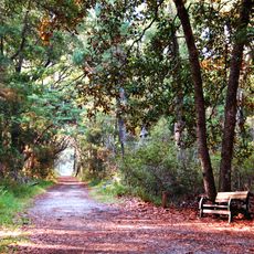 Skidaway Island State Park